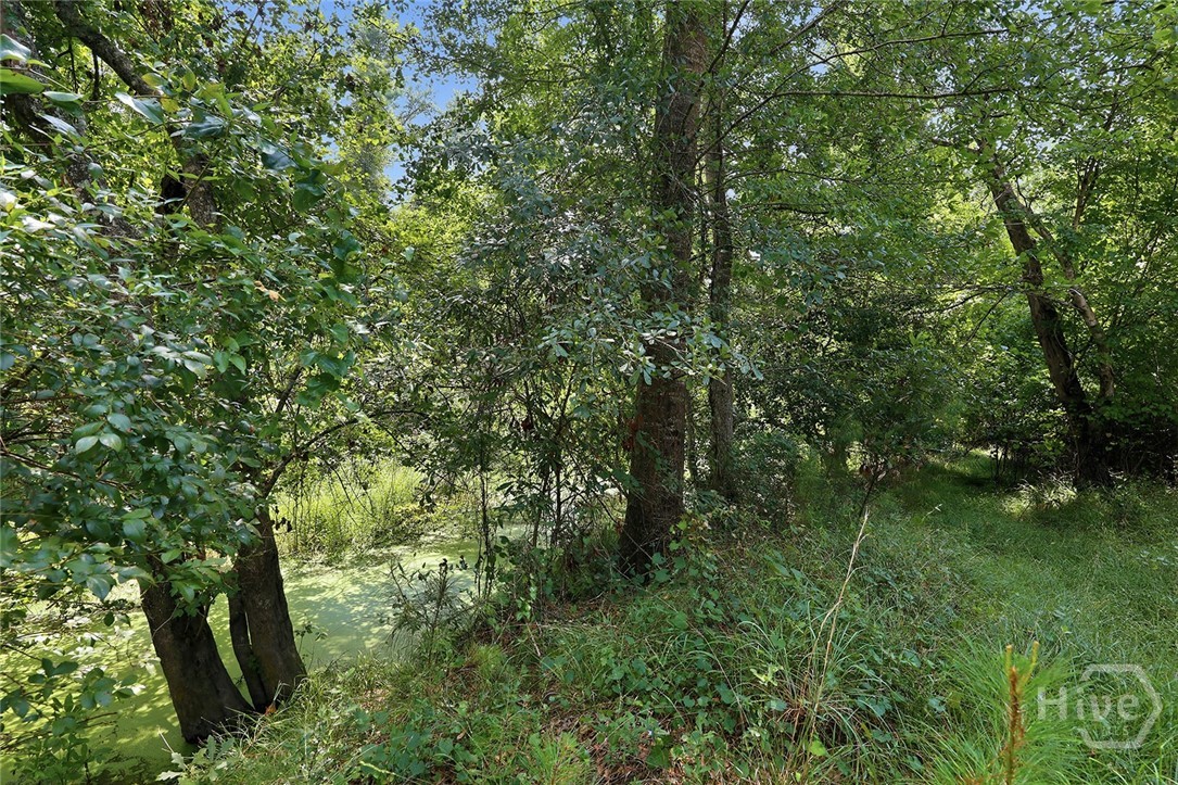 225 Frank Edwards Road Property Photo 47