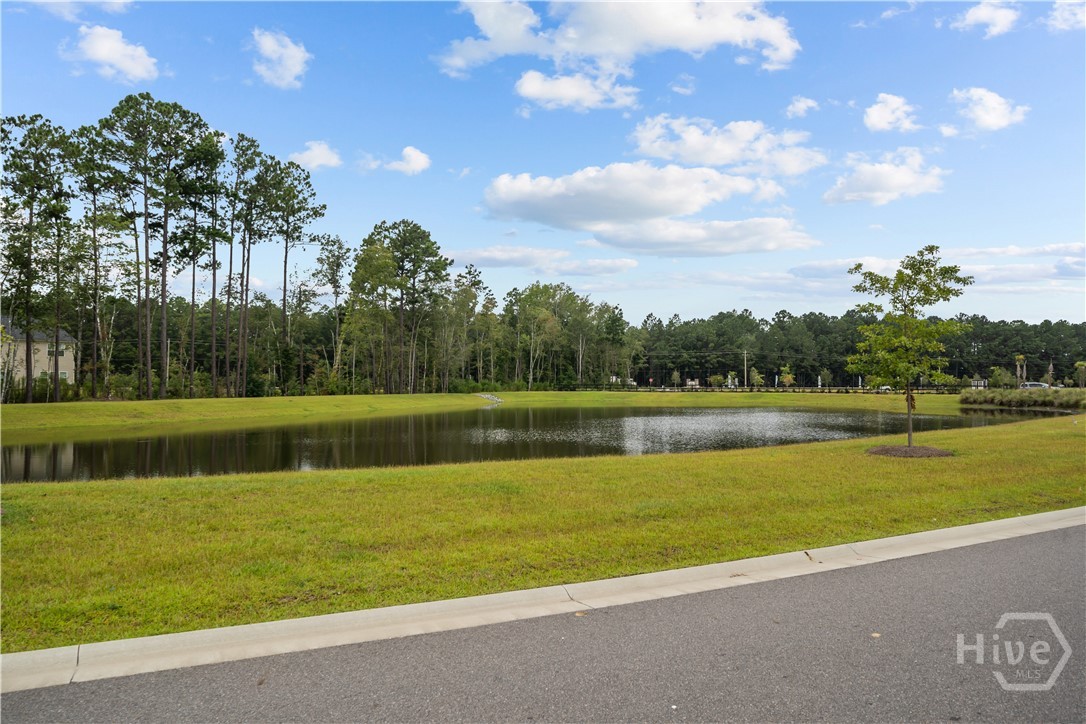 102 Hydrangea Way Property Photo 57
