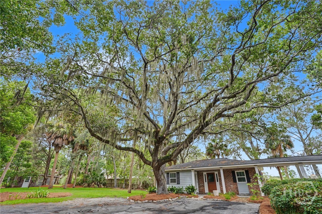 1316 Walthour Road Property Photo 3