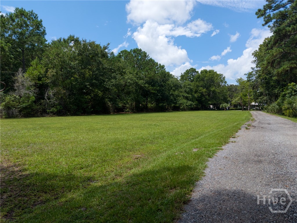 15 Waite Drive Property Photo 7
