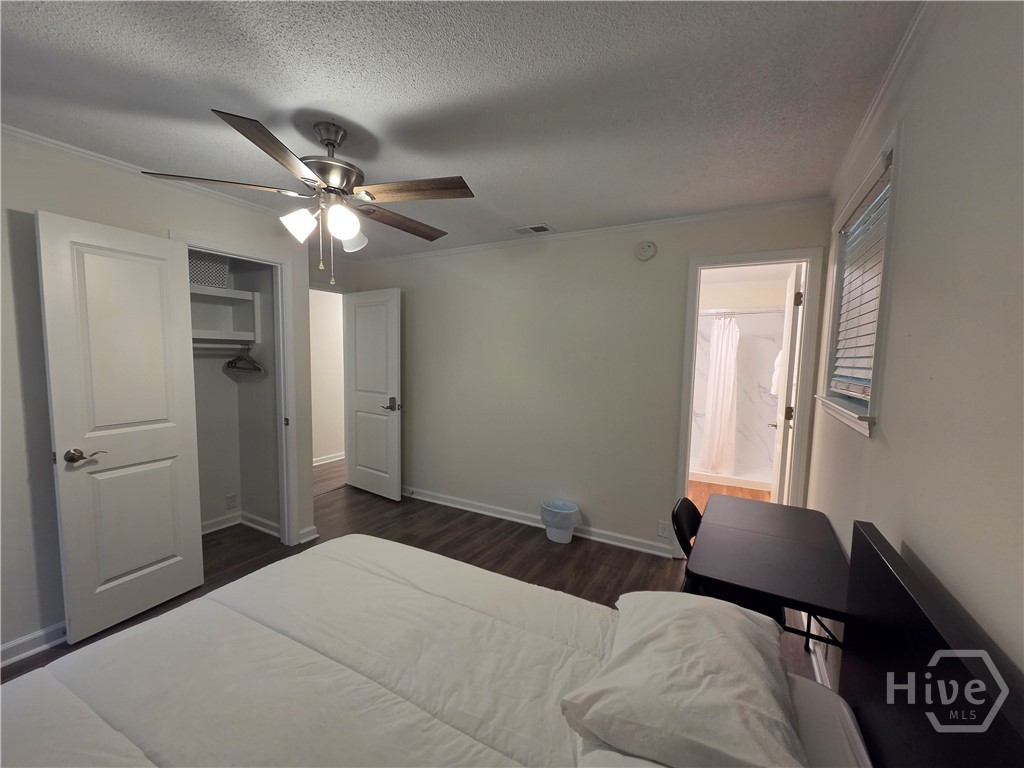 408 Salter Street A Property Photo 8