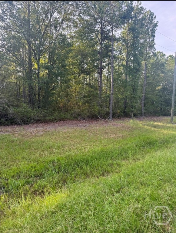 0 Brogdon Road Property Photo 7