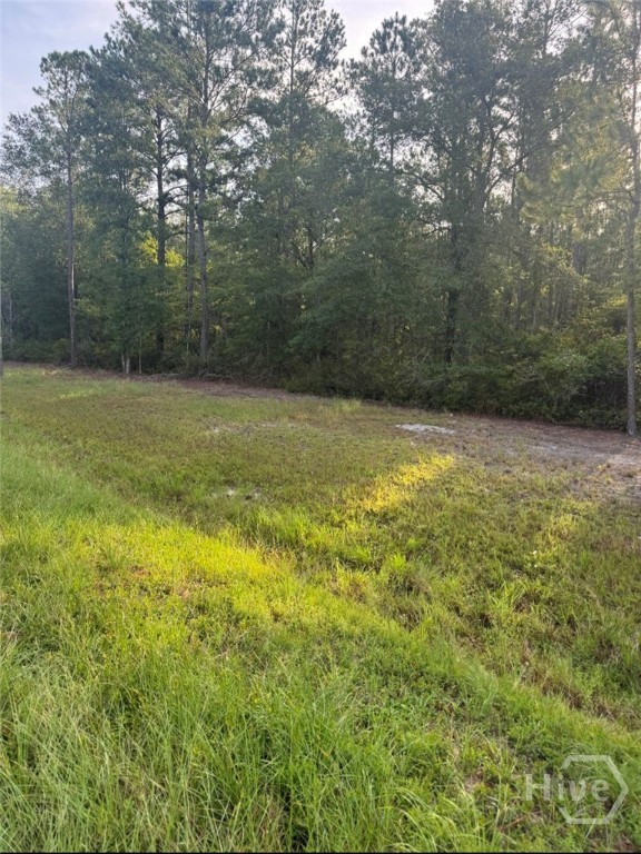 0 Brogdon Road Property Photo 8