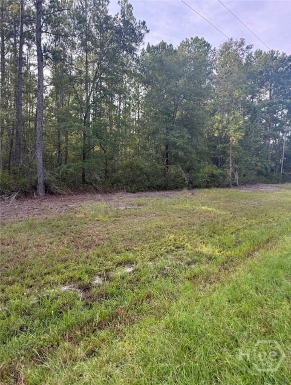 0 Brogdon Road Property Photo 10