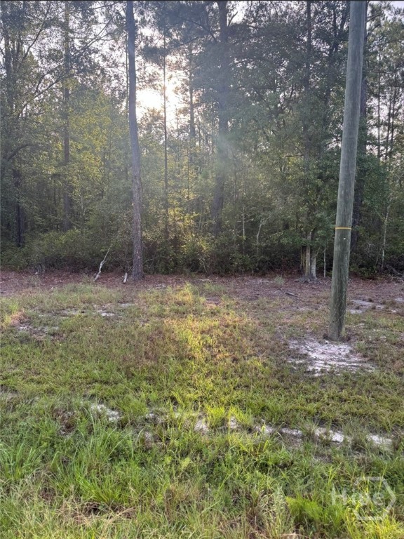0 Brogdon Road Property Photo 11