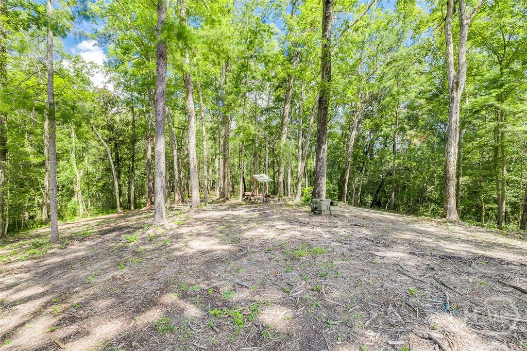131 High Bluff Road Property Photo 61