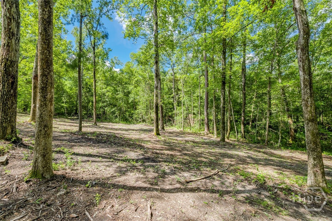 131 High Bluff Road Property Photo 64