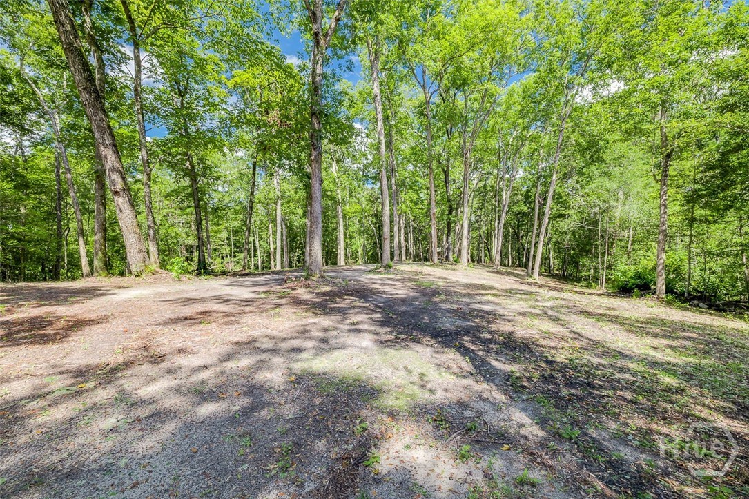 131 High Bluff Road Property Photo 65