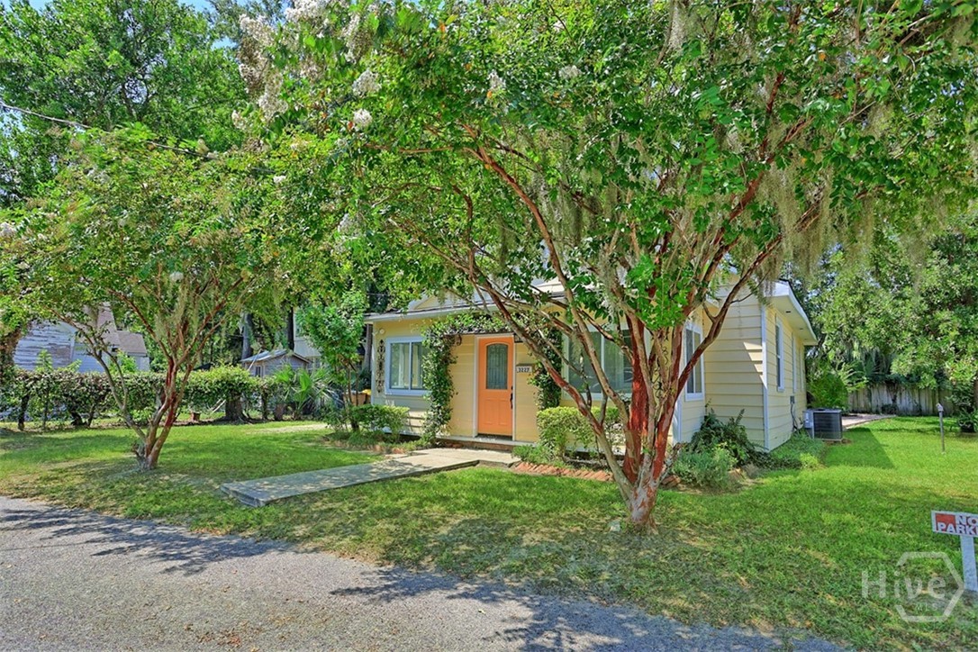 3227 Cedar Street Property Photo 5
