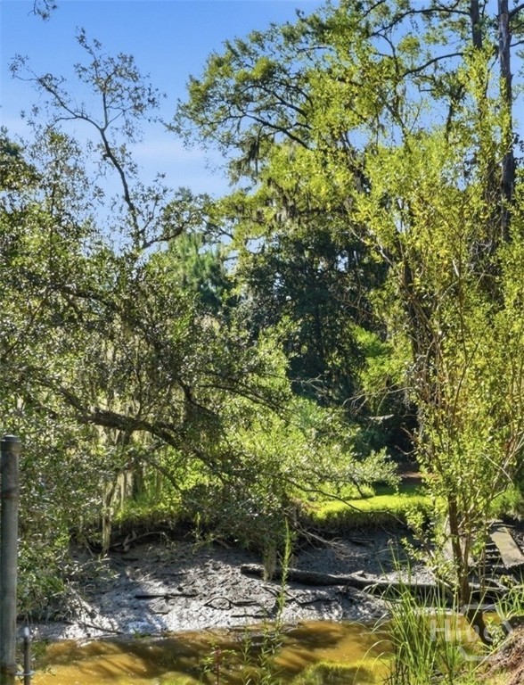 9006 Harmon Bluff Road Property Photo 31