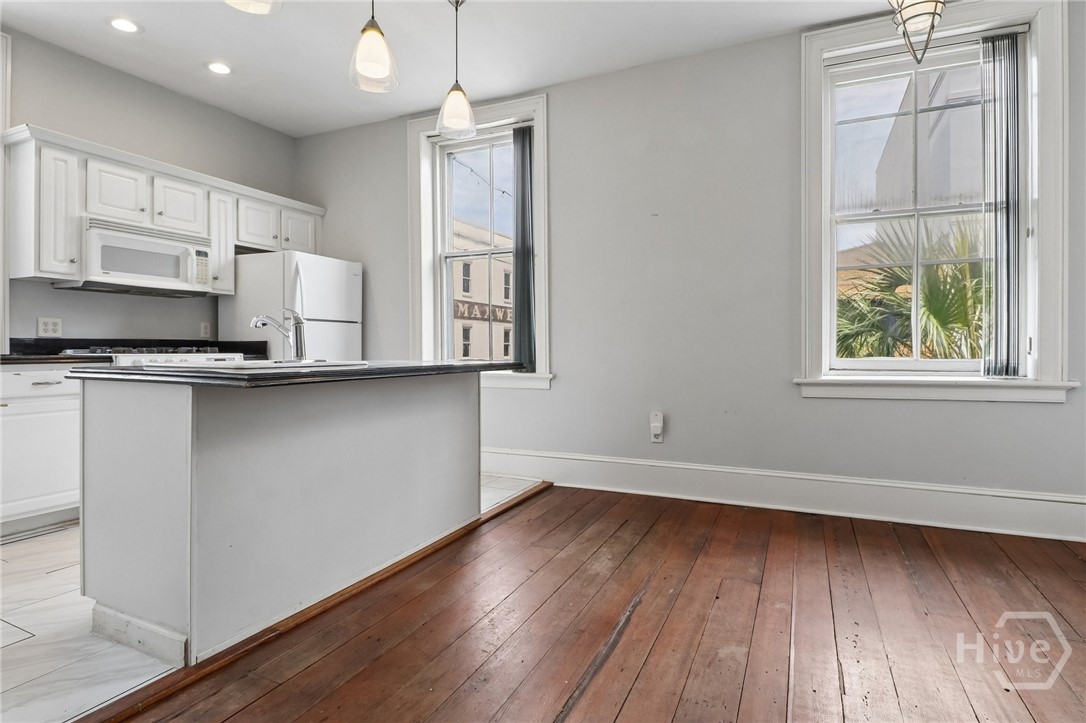 227 W Broughton Street 3 Property Photo 16