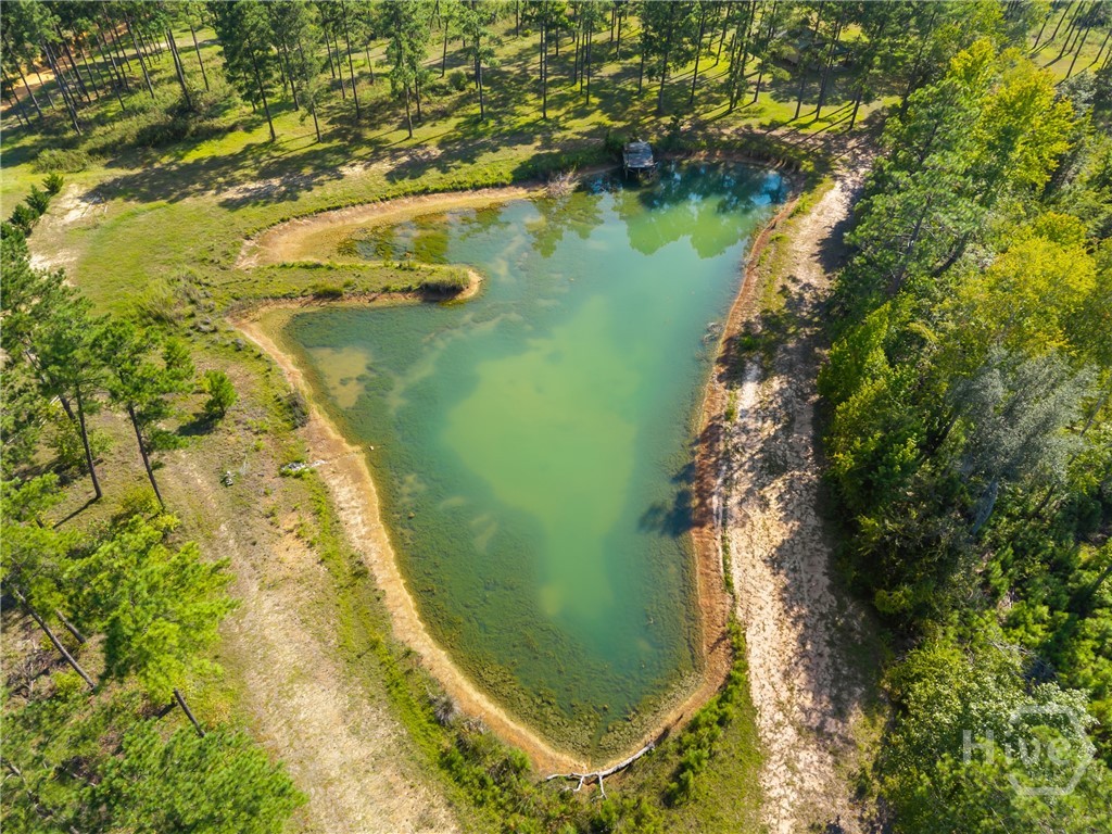 435 Canoochee Bypass Property Photo 15