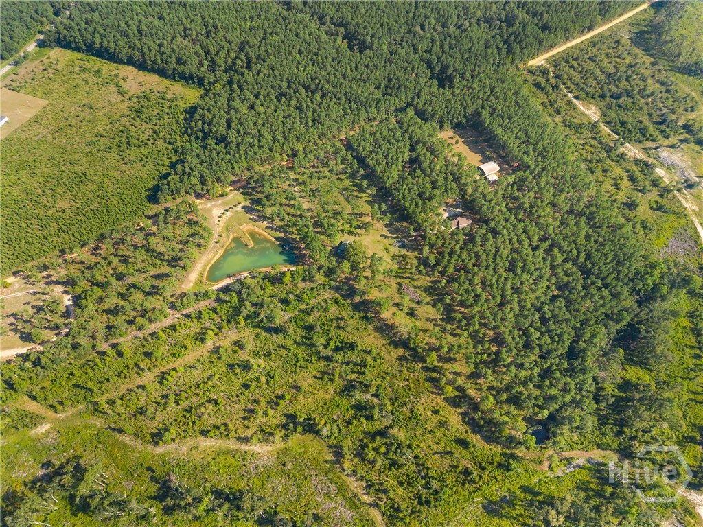 435 Canoochee Bypass Property Photo 28
