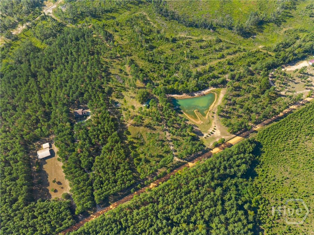 435 Canoochee Bypass Property Photo 30