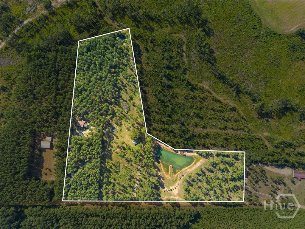 435 Canoochee Bypass Property Photo 35