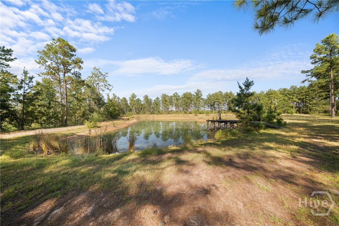 435 Canoochee Bypass Property Photo 50