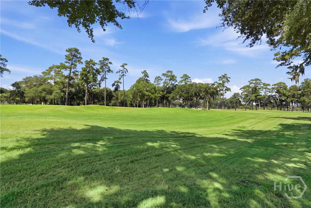 6 Sea Eagle Court Property Photo 39