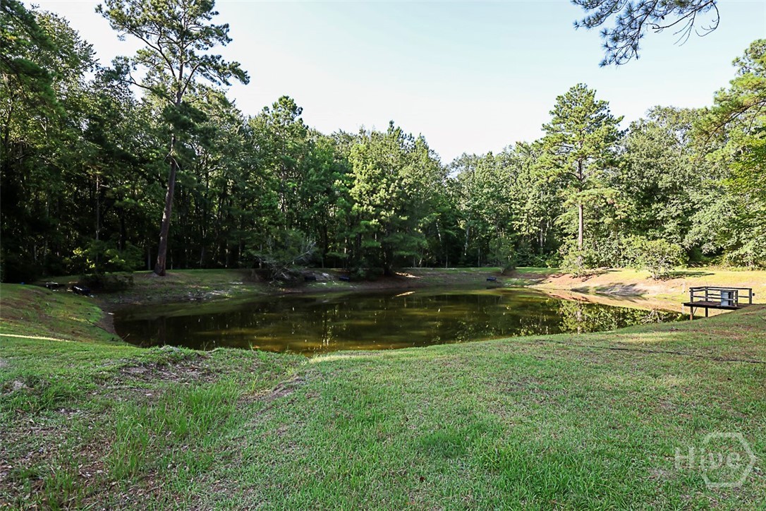 245 Brittingham Road Property Photo 41
