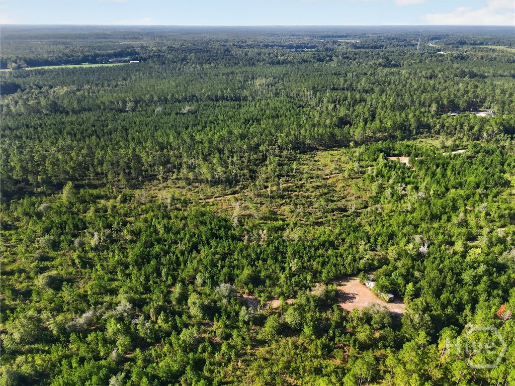 4858 Ga Highway 17 N Property Photo 3