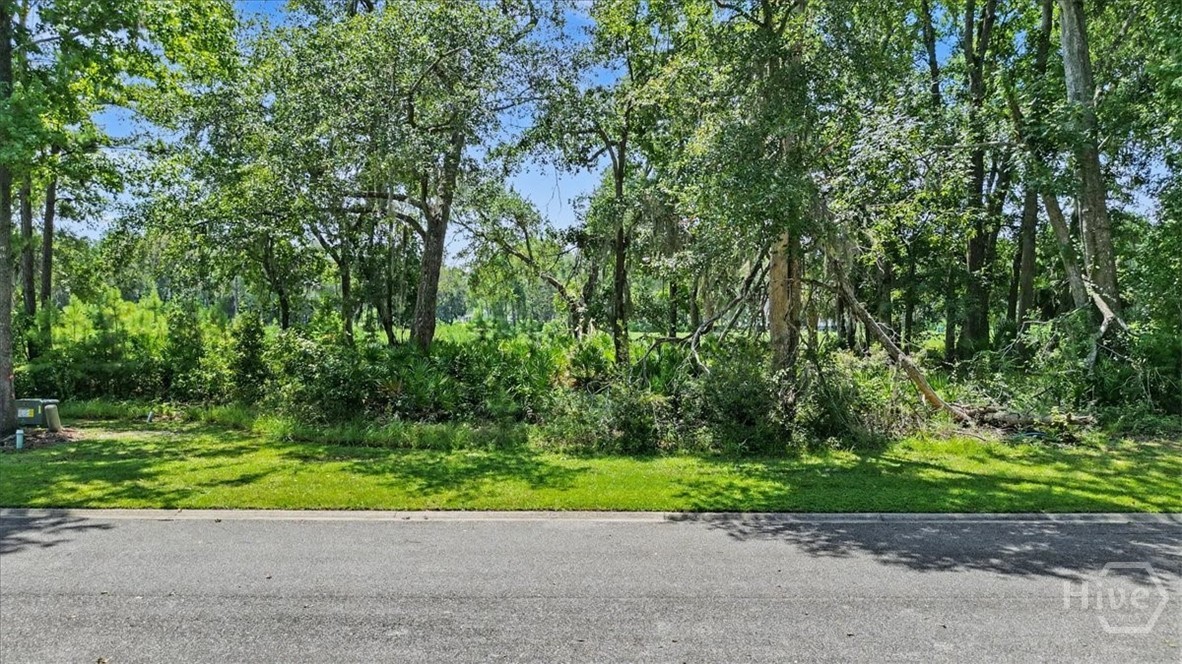Lot 62 Sanctuary Wynd Property Photo 1