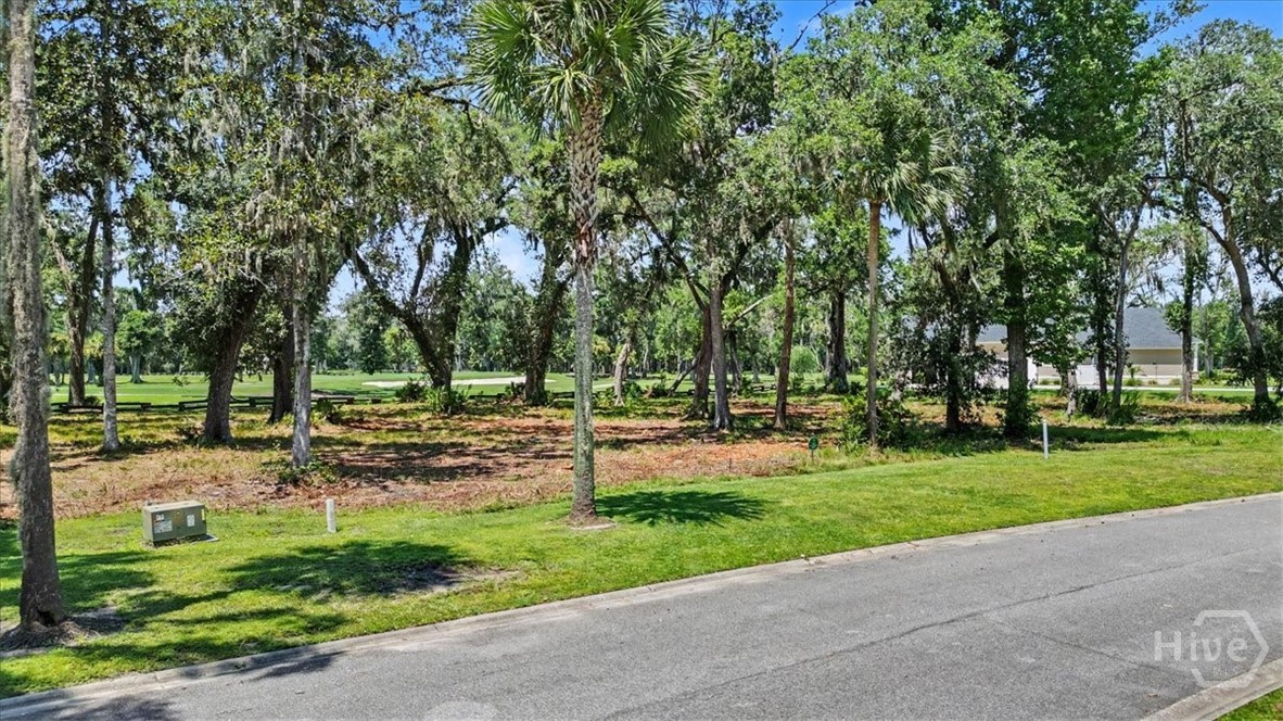 Lot 13 Audubon Property Photo 2