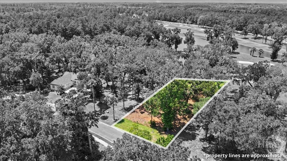 Lot 13 Audubon Property Photo 5