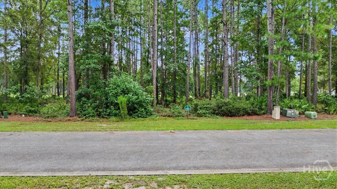 Lot 38 Palmetto Wynd Property Photo 1