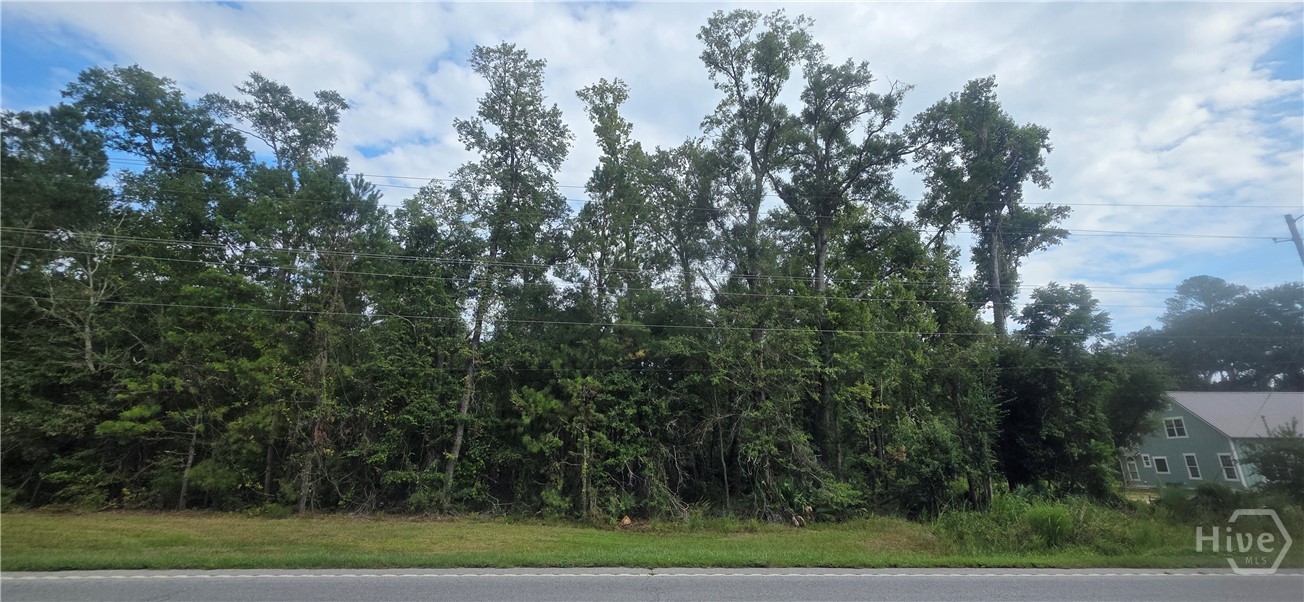 2440 Ga Highway 119 S Property Photo 1