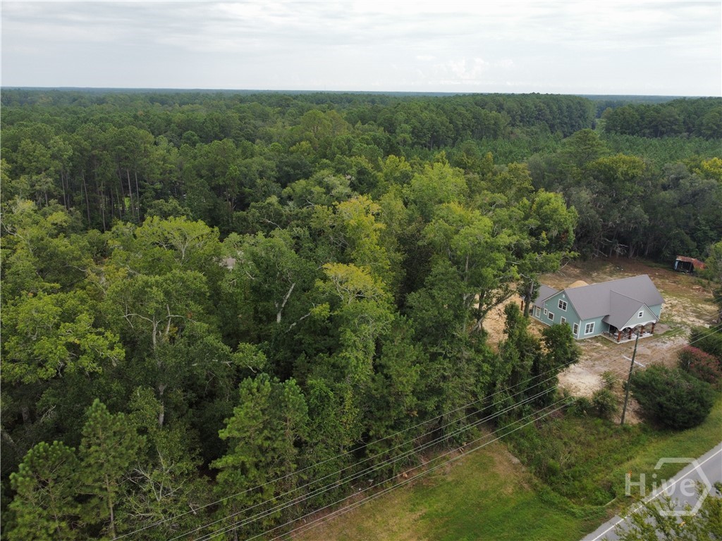 2440 Ga Highway 119 S Property Photo 2