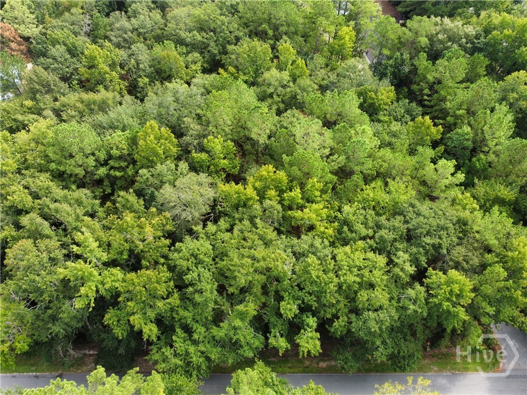 0 Poplar Property Photo 2