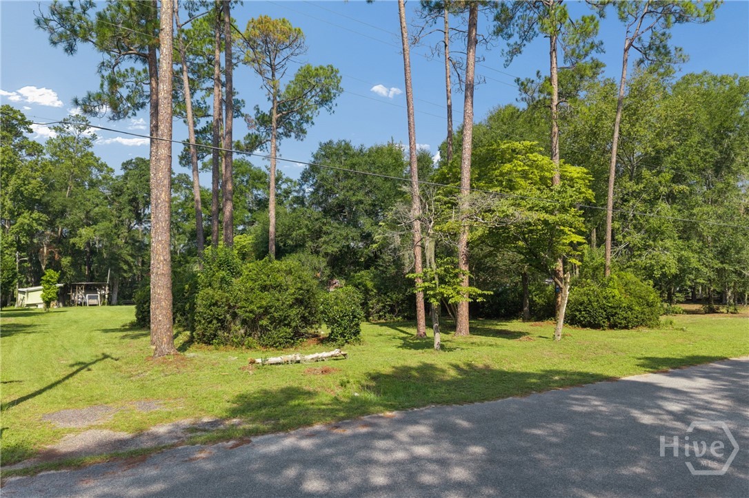 5 Pine Ridge Trail Property Photo 15