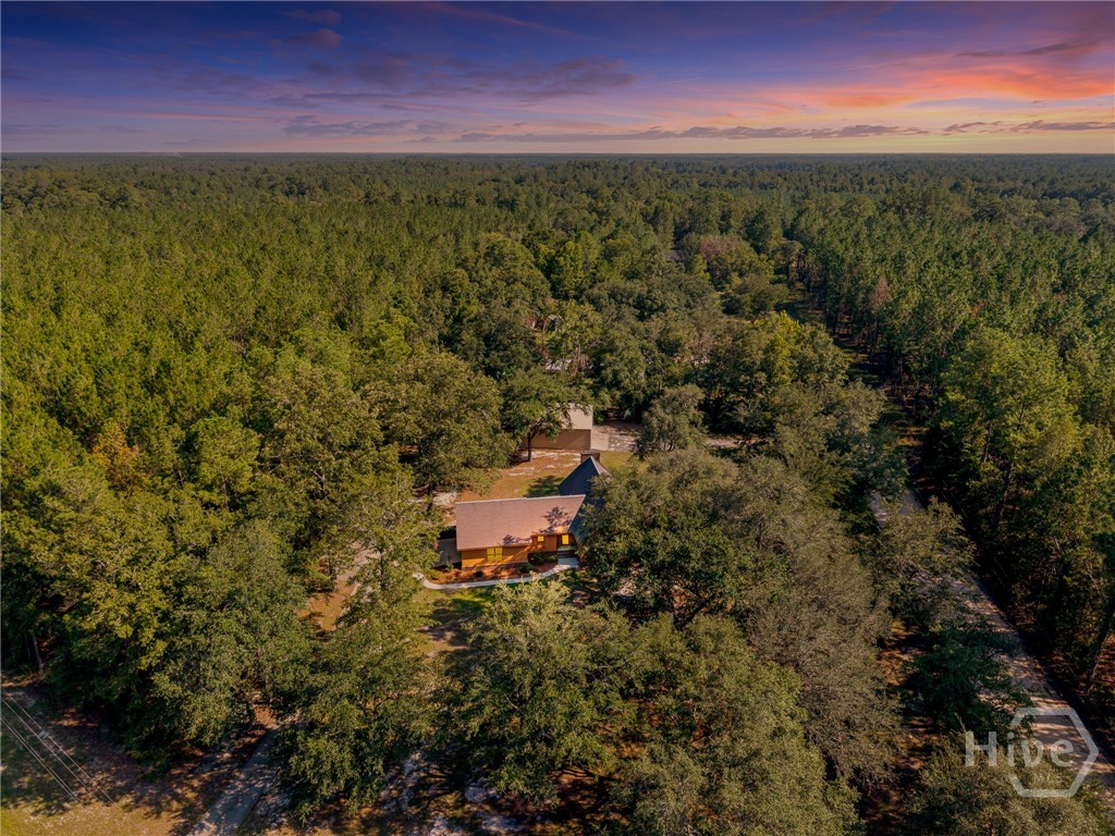 1021 Ig Lanier Road Property Photo 44