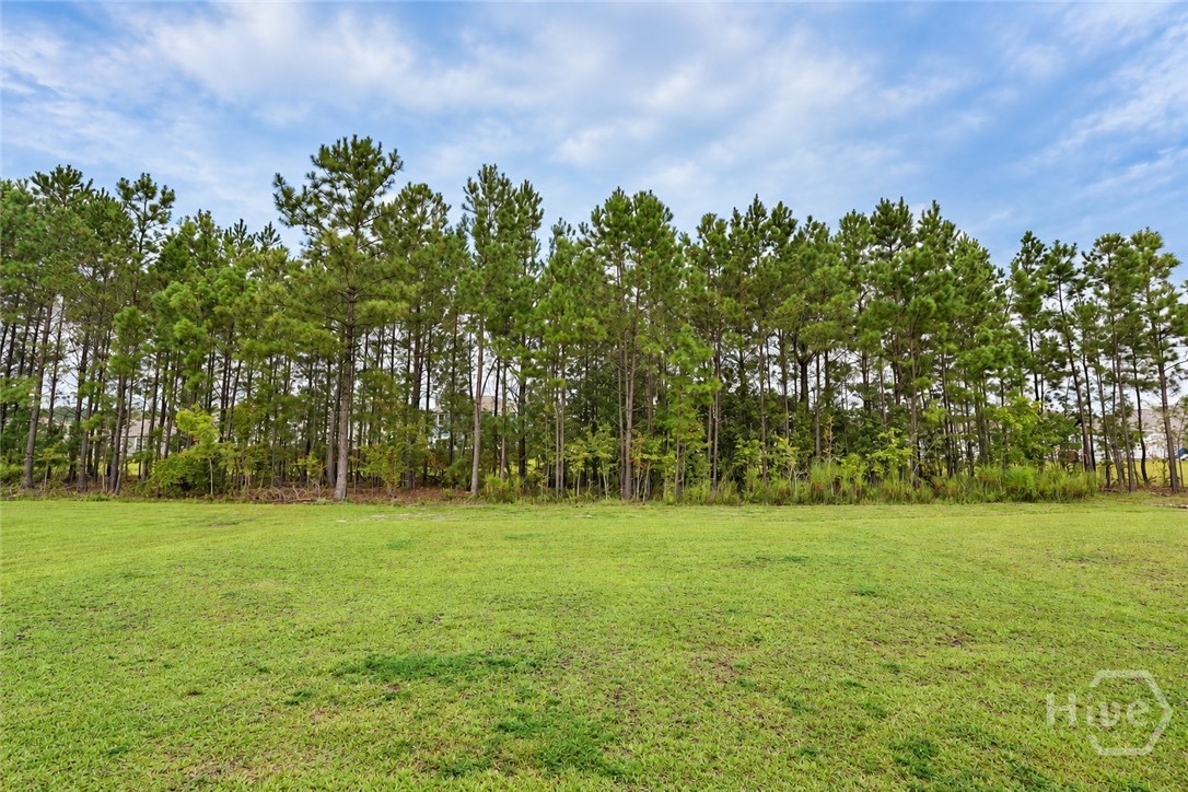 31 Cambium Circle Property Photo 23