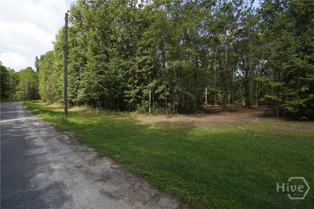 0 Williams Road Property Photo 2