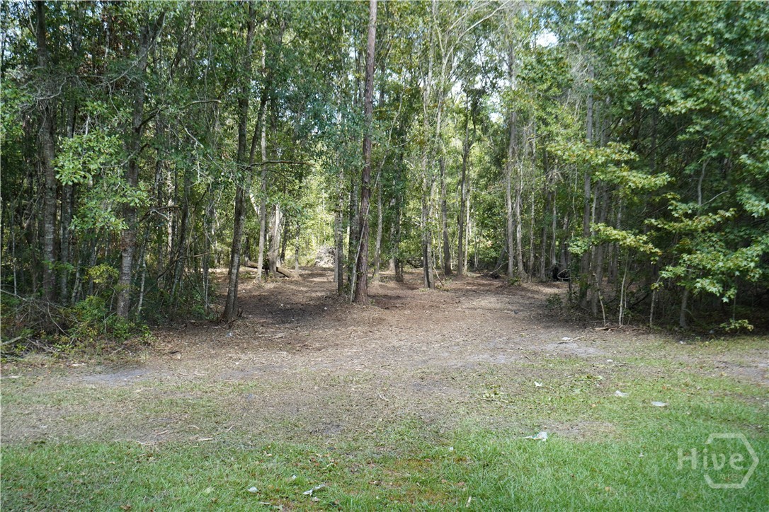 0 Williams Road Property Photo 3