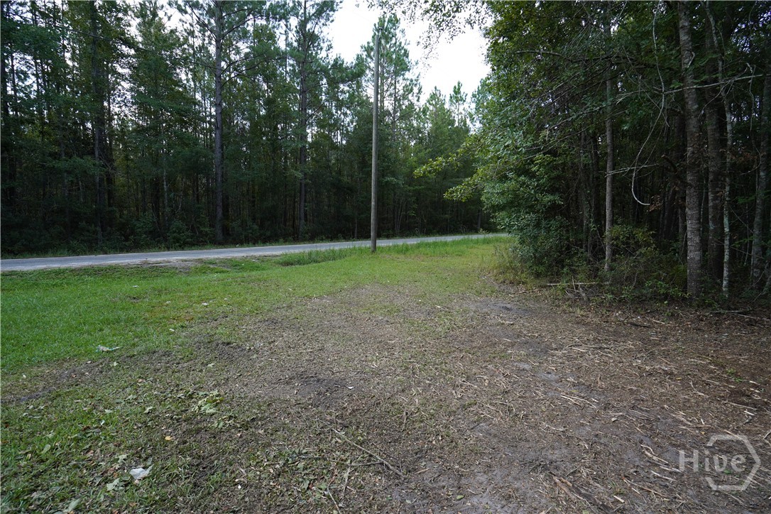 0 Williams Road Property Photo 4
