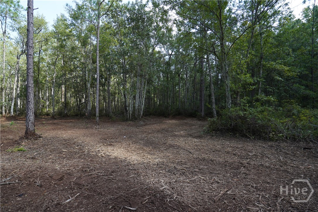 1 Williams Road Property Photo 3