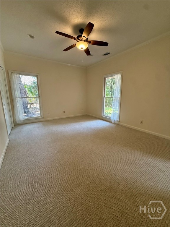 11 Gossamer Lane Property Photo 11