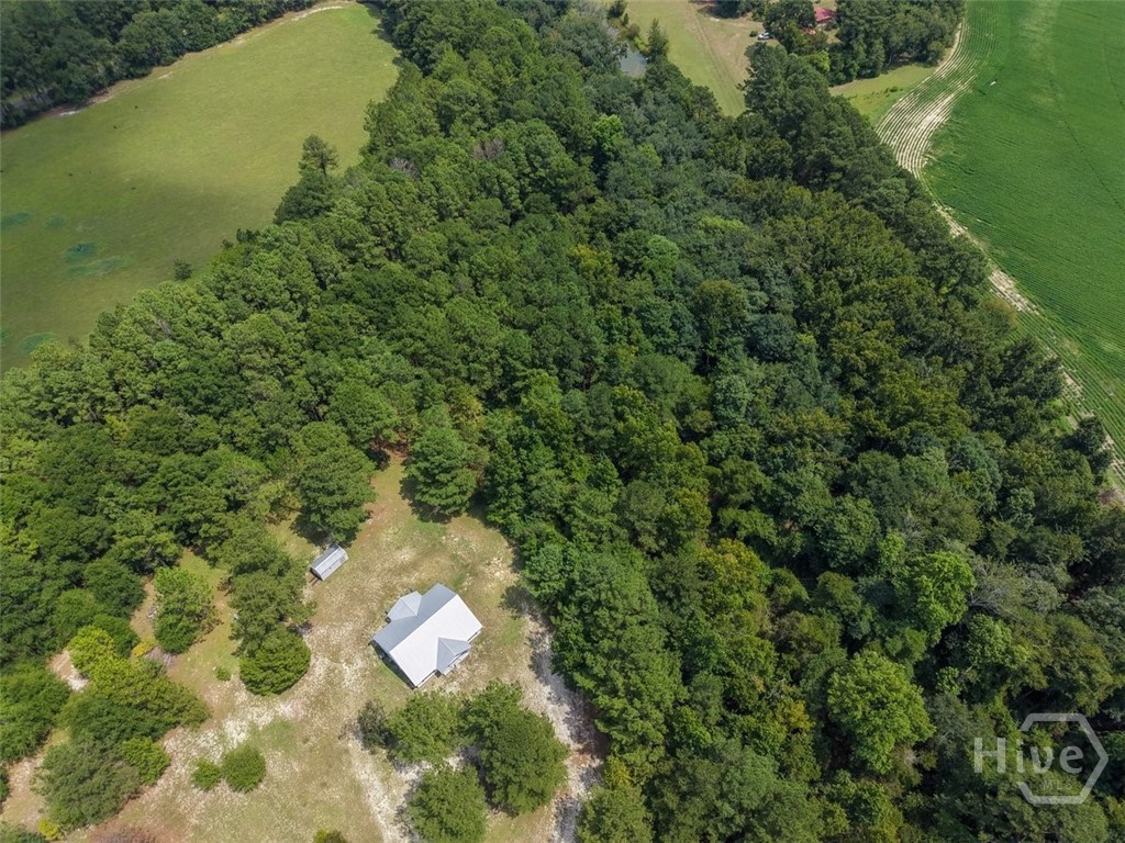217 Bens Branch Road Property Photo 29