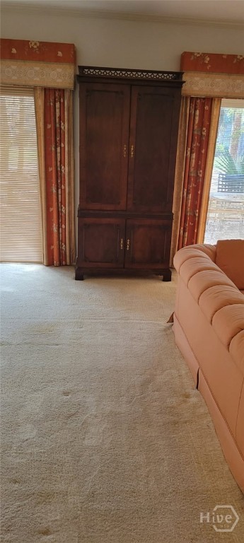 4 Rain Tree Lane Property Photo 23