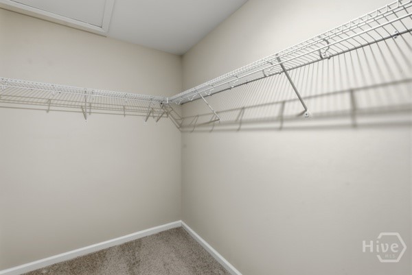 132 Firefly Circle Property Photo 29
