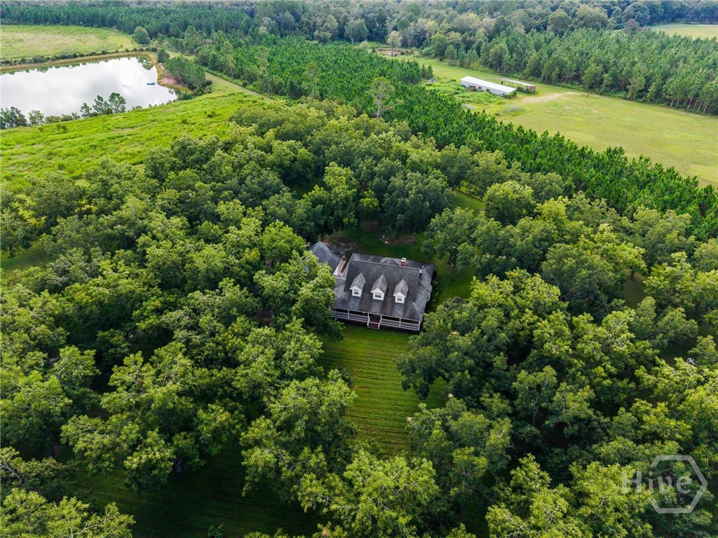 7919 Hwy 84 E Property Photo 59