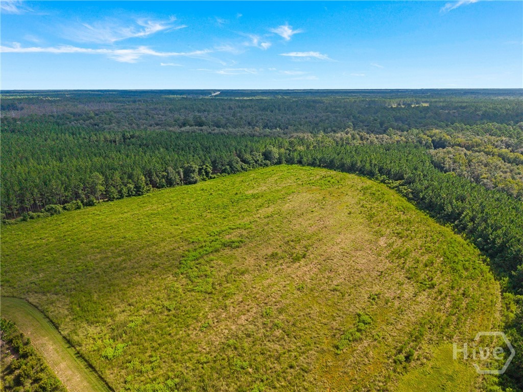 7919 Hwy 84 E Property Photo 61