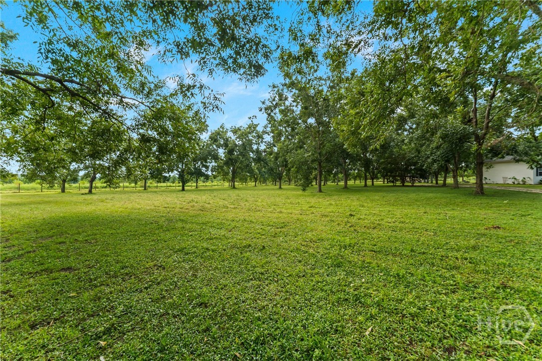 7919 Hwy 84 E Property Photo 71