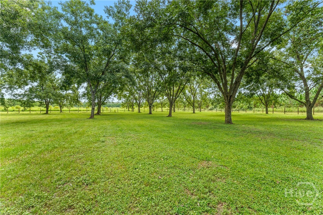 7919 Hwy 84 E Property Photo 72