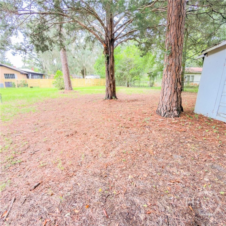 203 Springfield Avenue Property Photo 4