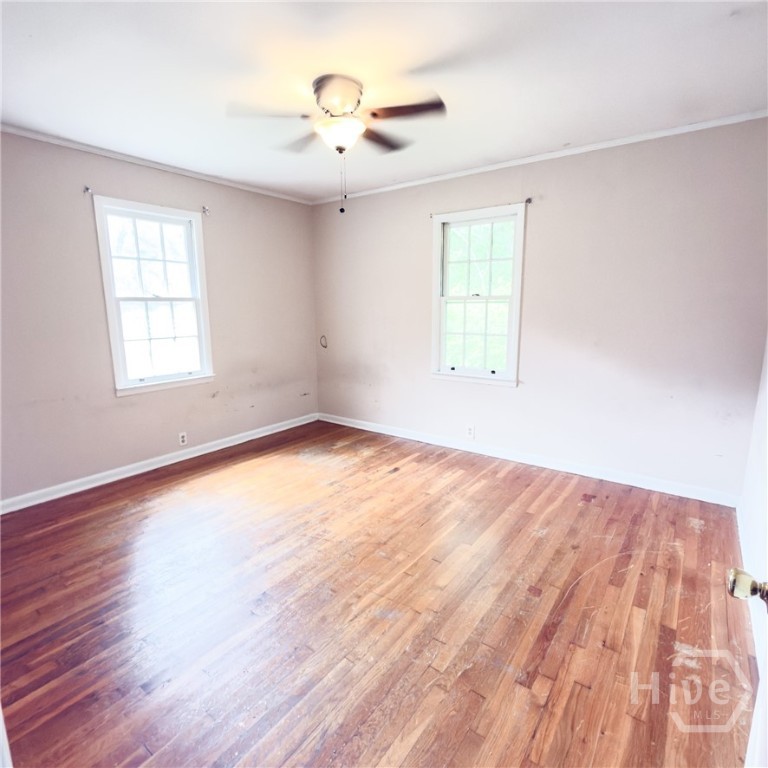 203 Springfield Avenue Property Photo 17