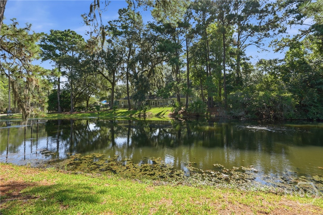 3 Blue Crab Point Property Photo 38