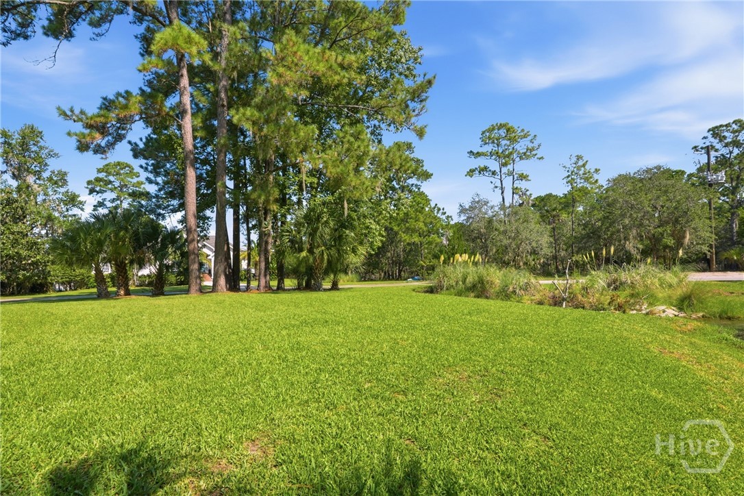 3 Blue Crab Point Property Photo 42