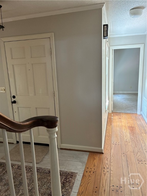 108 Dumbarton Property Photo 20